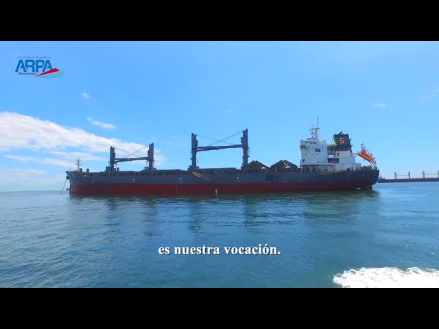 Entrevista en video de ARPA